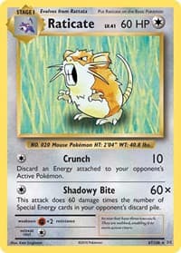 XY - Evolutions Raticate #67/108