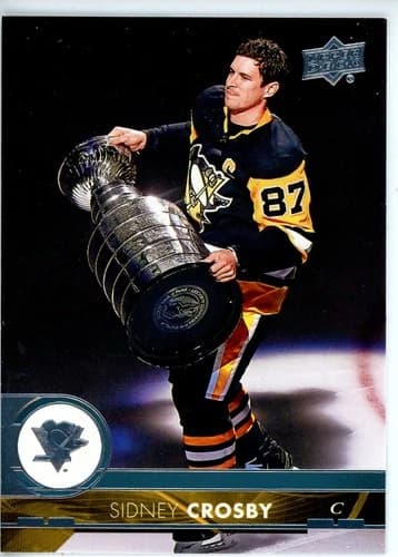 2017-18 Upper Deck Sidney Crosby #391